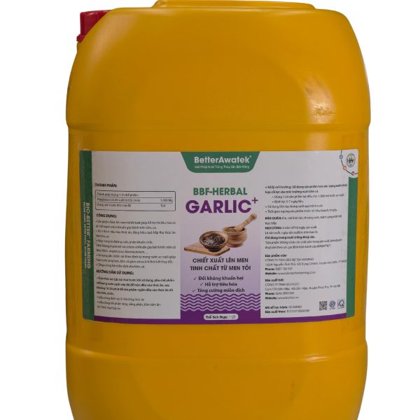 BBF-HERBAL GARLIC+ SỨC MẠNH HIỆP ĐỒNG TỪ TỎI TƯƠI LÊN MEN