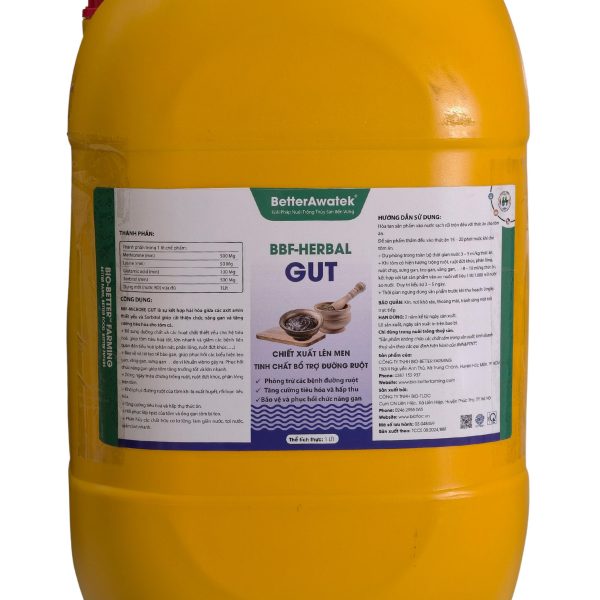 BBF-HERBAL GUT - NGUYÊN LIỆU SINH HỌC LÊN MEN - BẢO VỆ KÉP RUỘT VÀ GAN