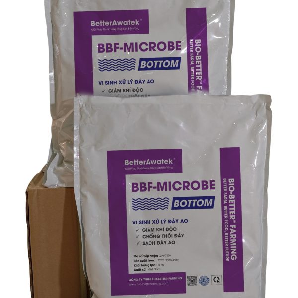 BBF-MICROBE BOTTOM - CHUYÊN GIA XỬ LÝ ĐÁY AO ĐẤT VÀ TẨY NHỚT BẠT BỜ