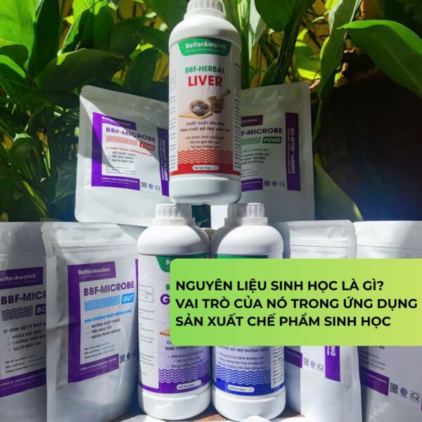 Nguyên liệu sinh học cho nền tảng chế phẩm hiệu quả