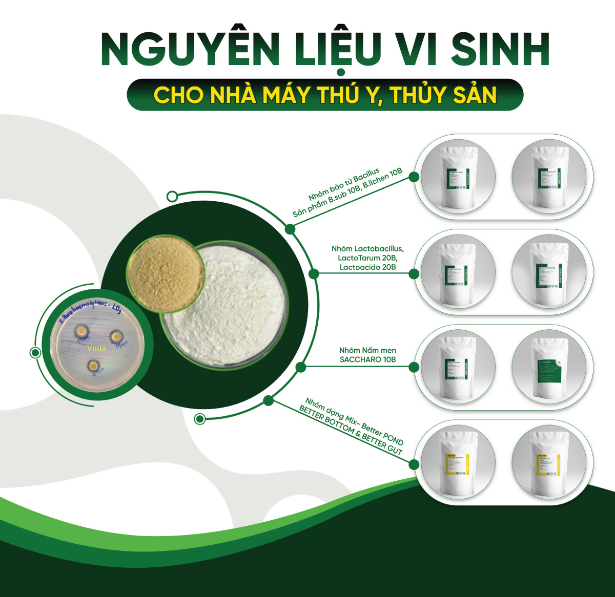 Nguyên liệu vi sinh cho nhà máy thủy hải sản
