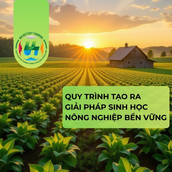 Quy trình tạo ra giải pháp sinh học cho nông nghiệp