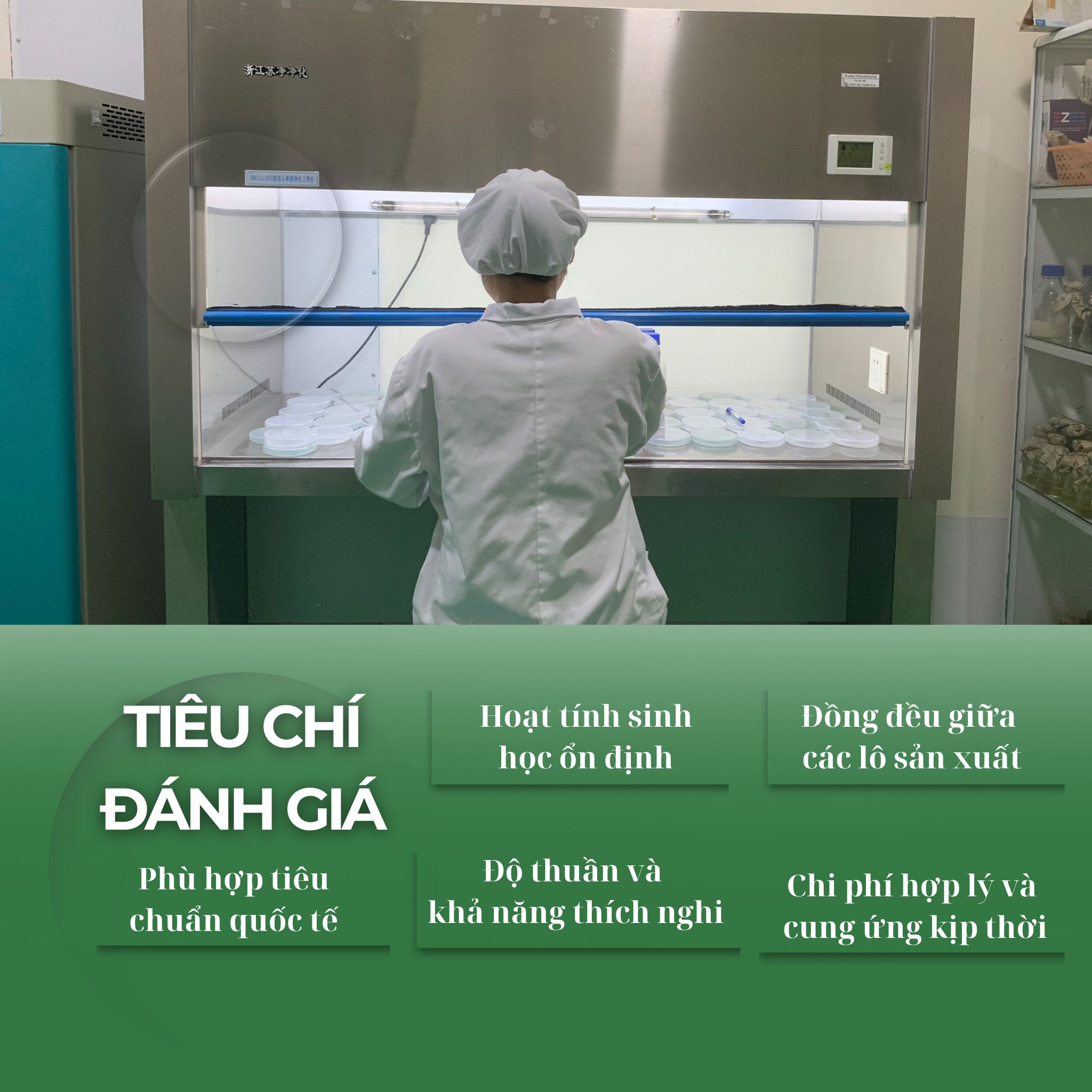 Tiêu chí đánh giá chất lượng
