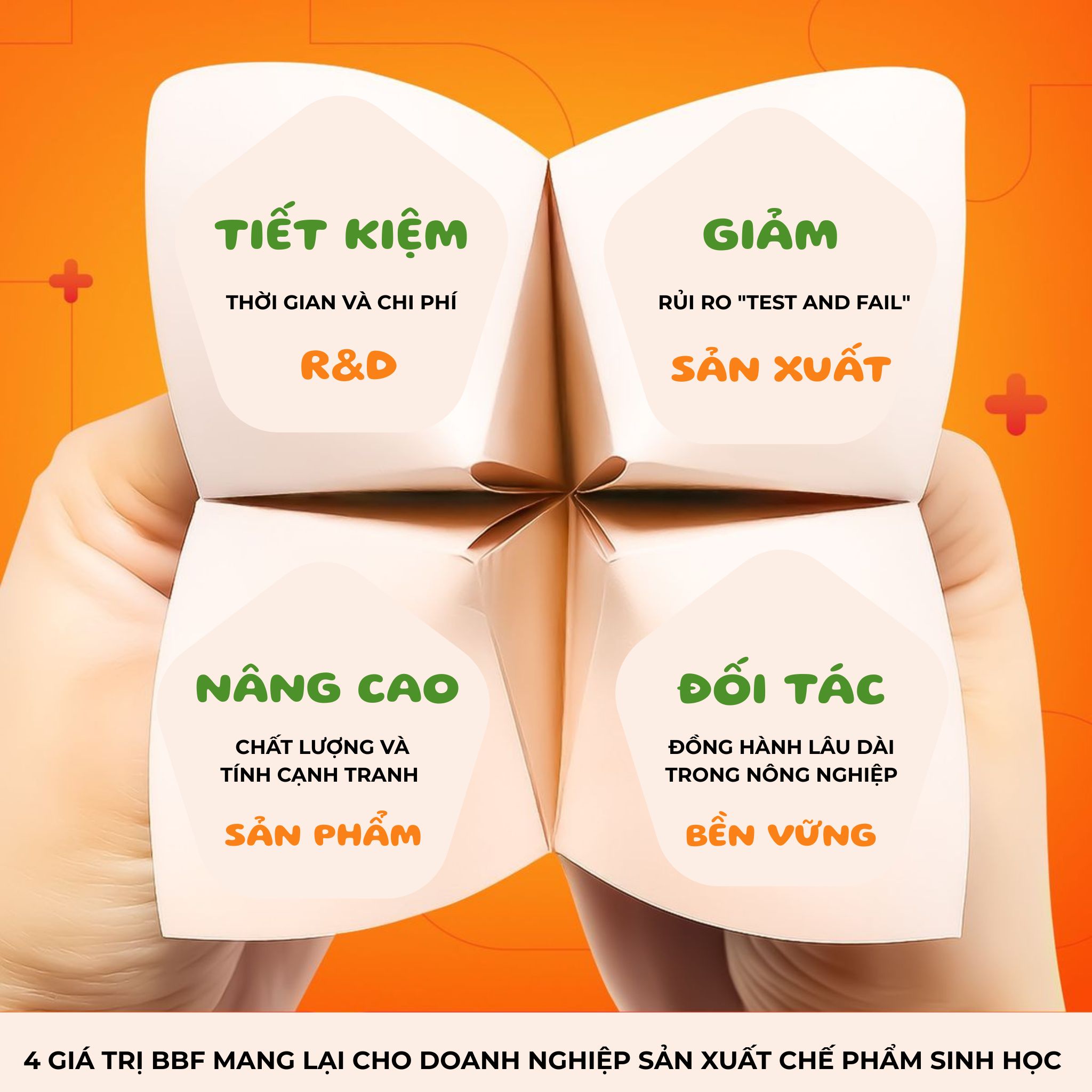 4 giá trị BBF mang lại cho doanh nghiệp sản xuất chế phẩm sinh học