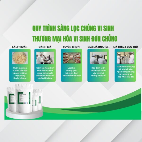 Lựa chọn nguyên liệu vi sinh đơn dòng hay nguyên liệu vi sinh đơn chủng
