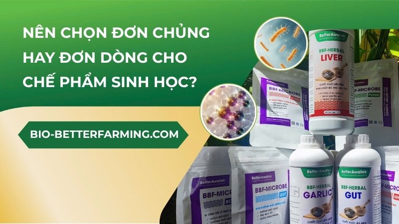 Nên chọn đơn chủng hay đơn dòng cho chế phẩm sinh học