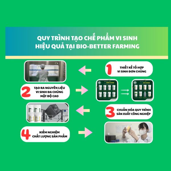 Quy trình 5 bước sản xuất nguyên liệu vi sinh bản địa