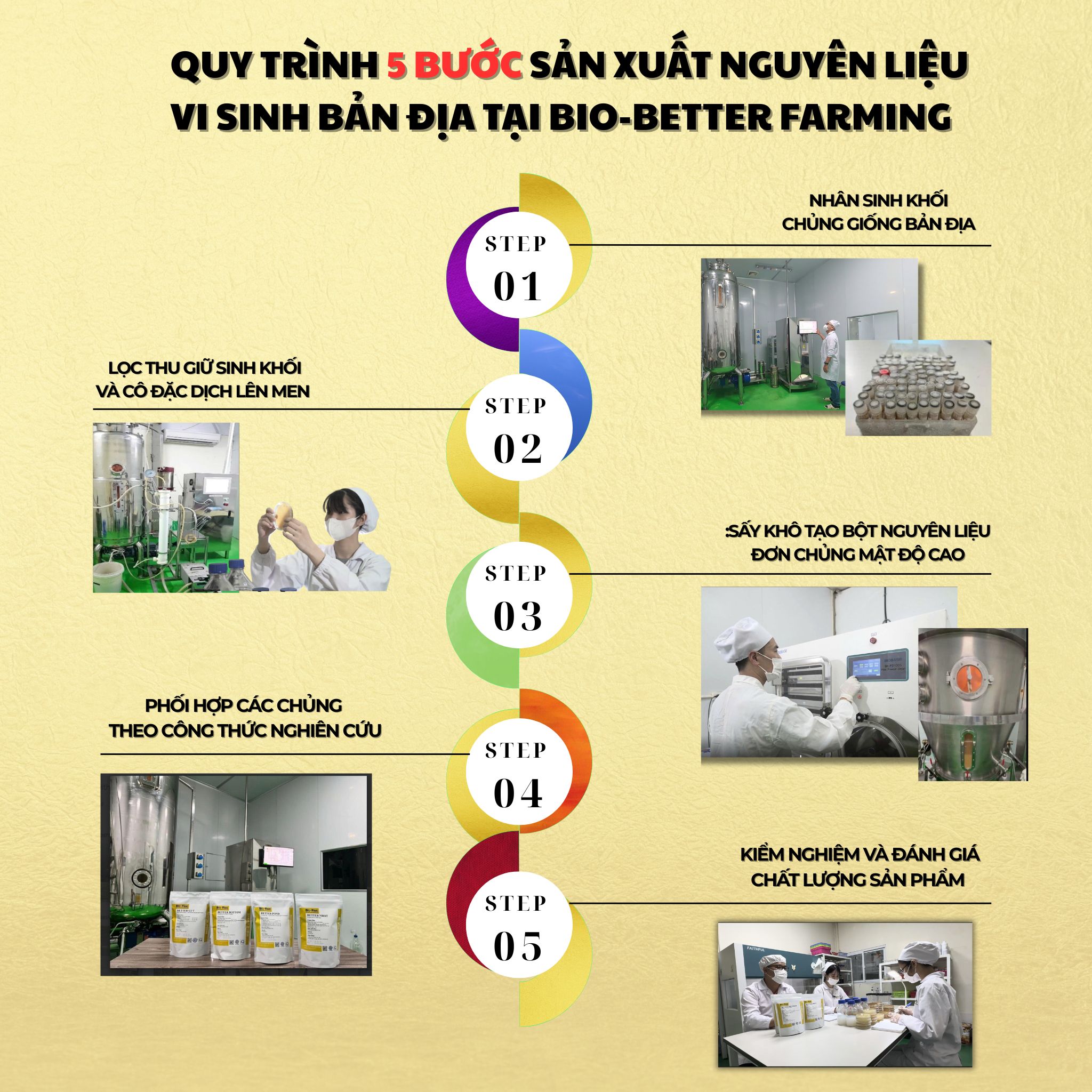 Quy trình 5 bước sản xuất nguyên liệu vi sinh bản địa