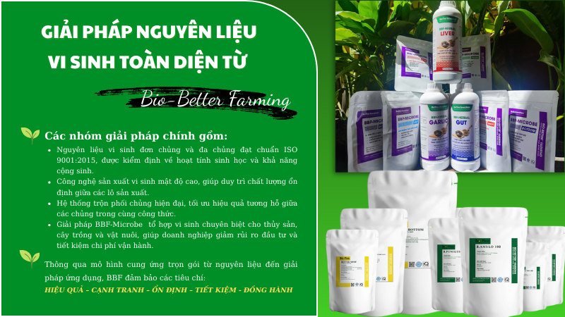 Giải pháp nguyên liệu vi sinh toàn diện