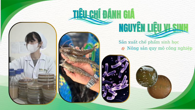 Tiêu chí đánh giá nguyên liệu vi sinh