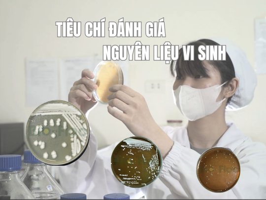 Tiêu chí đánh giá