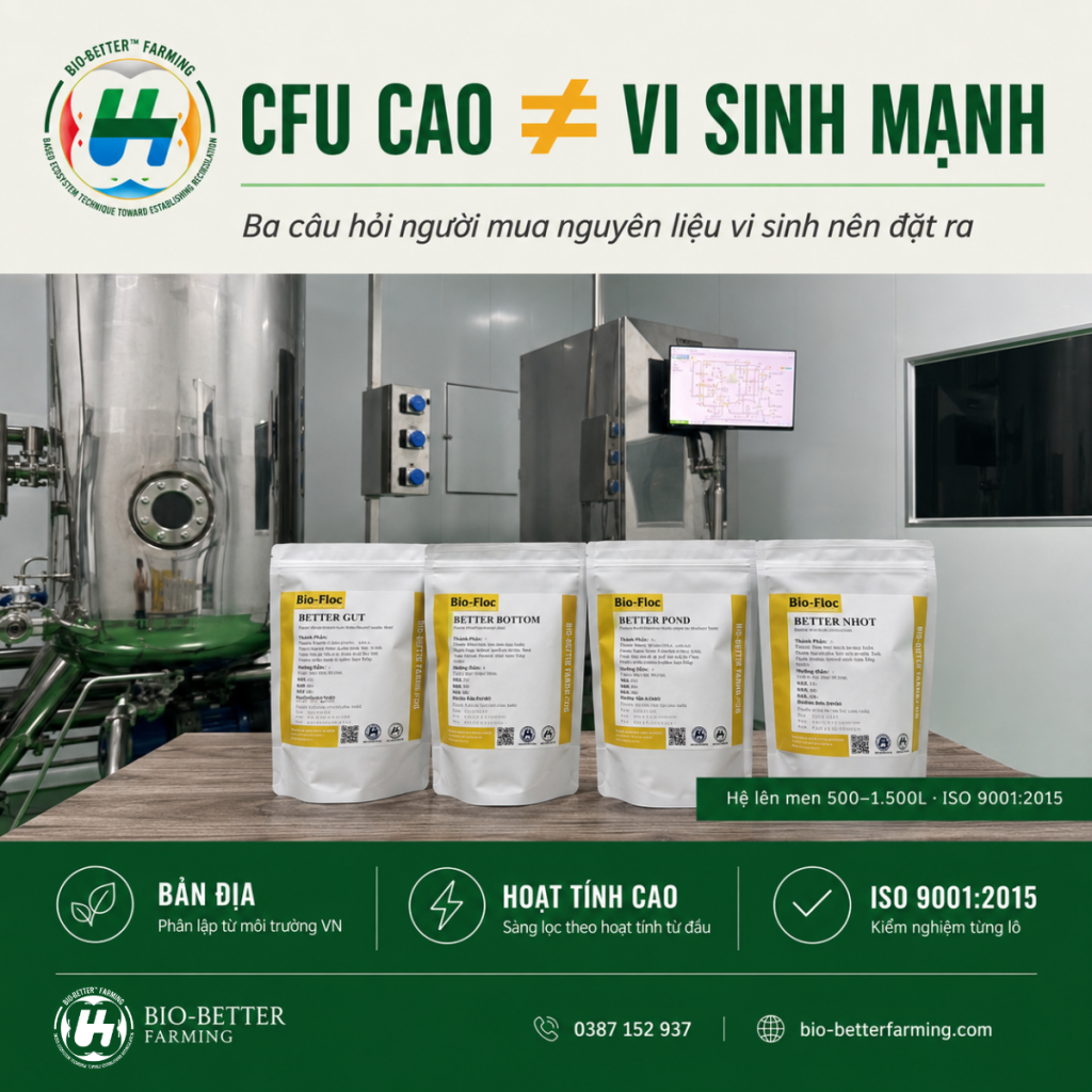 Điền: "Nguyên liệu vi sinh bản địa BBF — CFU cao không phải vi sinh mạnh"