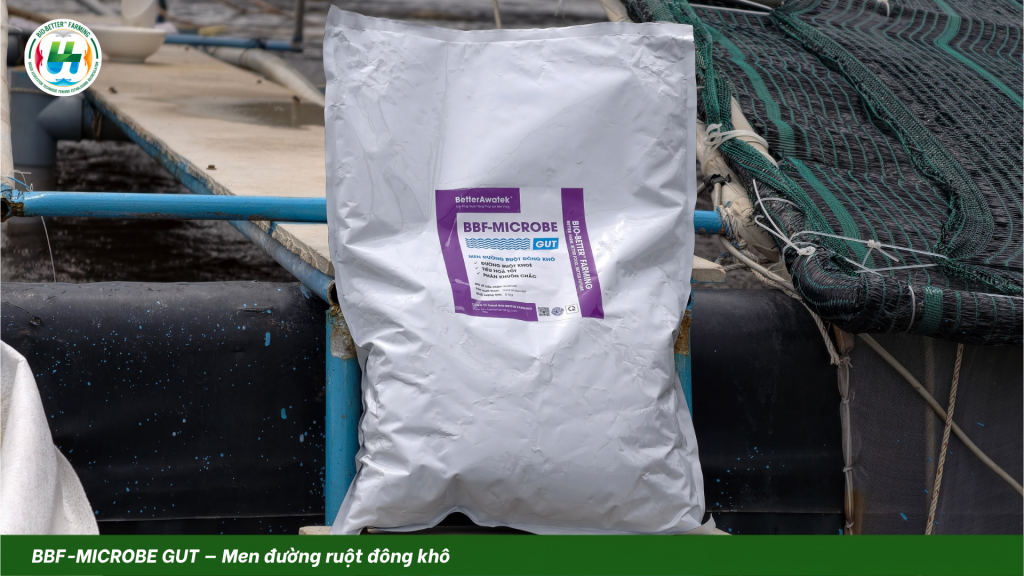BBF-MICROBE GUT - men đường ruột đông khô cho tôm thẻ chân trắng