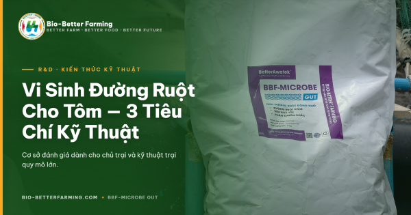Túi BBF-MICROBE GUT — vi sinh đường ruột cho tôm dạng đông khô
