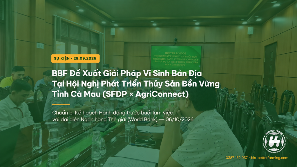 Bio-Better Farming và các bên liên quan trong chuỗi giá trị tôm bền vững Cà Mau, thuộc khuôn khổ Dự án Phát triển Thủy sản Bền vững (SFDP) và sáng kiến AgriConnect World Bank 2026.
